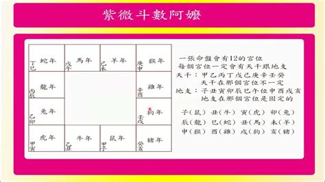 紫微斗數命盤免費|紫微斗數排盤程式